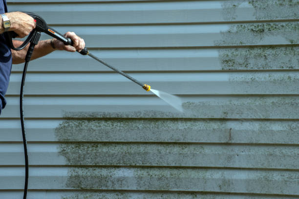 Best Patio and Deck Pressure Washing  in Panther Valley, NJ